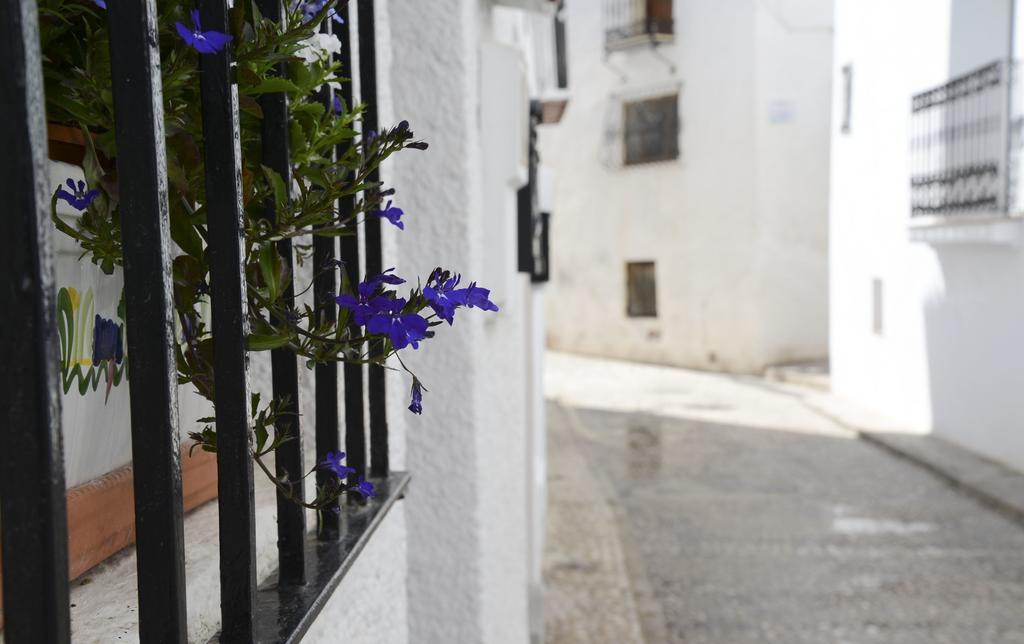 Samar * Altea